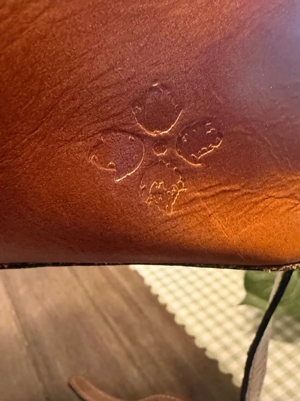 Patricia Nash Empoli Full Grain Leather Satchel with Metal Ring Handles